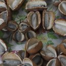 아름따다 이미지