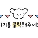 동글개 이미지