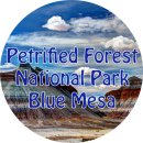 (주)다산트레이딩 | 2021 미 서부 원주민 부동산 여행 제8화: 석화림 국립공원 블루 메사 (Petrified Forest National Park...