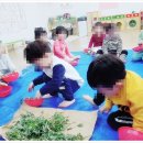 산솔내음 이미지