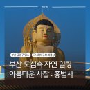 [부산 힐링코스 추천] 금빛 좌불상과 대형 잔디마당의 ‘홍법사’ 방문기