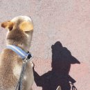 우영카센타 이미지