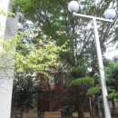 회원동168 이미지