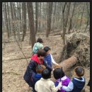 밤곶이 놀자 숲놀이터 이미지