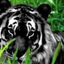 (주)창성 이미지