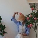 cafe 933(카페 933)