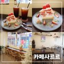 카페 사상로 | 카페 사르르 재방문 후기