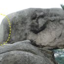 문화유산, 역사가 보인다 이미지