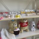 뚜드림 다사점 이미지