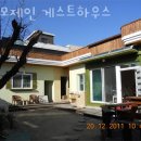 경주황리단길숙소 모모제인 게스트하우스 경주호텔vs경주한옥숙소(한옥스테이) 어디가 좋을까?