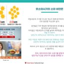 고려대석사태권도장 이미지