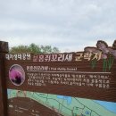 팜팜스 이미지