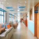 솔개초등학교 이미지