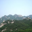 불광1-001 Daum카페