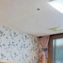 파라시오갤러리 이미지