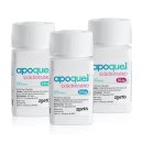 센트럴동물병원 이미지