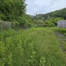 이안태양광발전소 이미지