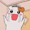 칠 Daum카페
