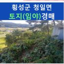 청일파출소 이미지