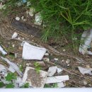 평곡3리 이미지