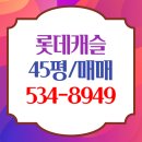 강남역서초써밋롯데캐슬공인중개사사무소 이미지