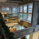 모텔행복비치 | 연말 도쿄에서 일주일 살아보기, 랜드어바웃 도쿄 6박7일 숙박 후기