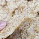 백세농업 이미지