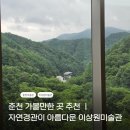 산길공방 | 가볼만한곳 이상원미술관｜월요일에도 관람 가능 춘천 숨은 명소 화악산 뷰와 이상원 화백 상설전시 후기
