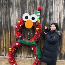 에이원보습학원 | [왕J 애미의 영어전집 고민기] 돌아기 영어전집 무엇을 사야하나(월팸/잉글리시에그/튼튼영어/프뢰벨...