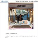 더모스트 | 더모스트타임즈 언론사 인터뷰 요청, 실제 후기
