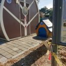 빌리언스펜션 이미지