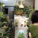 린다플랜트 이미지