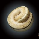 파이○○ 발전소 이미지