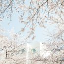 동대신 삼익아파트 이미지