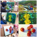 (성인)서양화 유화반 이미지