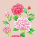 모란