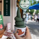 주정차64 | 🎐 여름 전남 여행 | 여수 이순신광장 먹거리 길거리음식 | 쑥아이스크림 바게트버거 갓김치김밥