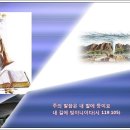 찬송가 / 206장 주님의 귀한 말씀은 이미지