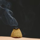 진도경희의원 이미지