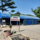 연천-8 | 연천 나린오토캠핑장 꽃가람8번 후기