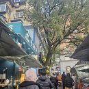 구룡양곱창 | 251130 옌타이 Day 3 - 쿤위산, 모어 요거트, 해창어인부두, 카페 후리, 이씨거다탕, 완다몰 야시장(?)