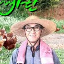 정란축산 이미지