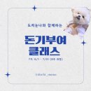 여행 블로그 수익화 방법 도치눈나 돈기부여 수강 후기