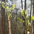 양동농장 이미지