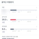 허니머슬짐 이미지