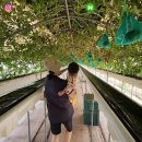 향기농장 이미지