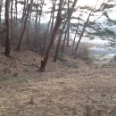 어은농장 이미지