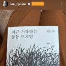 24.10.11[@lee_hyolee 공유]이효리언니 인별스토리-🐕 코깜이와 미달이 이미지