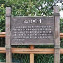 소남머리 이미지