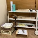 바른자세척추운동(SNPE) 이미지